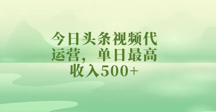 今日头条视频代运营，单日最高收入500+_网创掘金