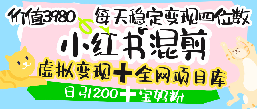 价值3980的小红书混剪， 虚拟变现 ＋全网项目库 ， 日引200+宝妈创业粉，每天稳定四位数变现_网创掘金