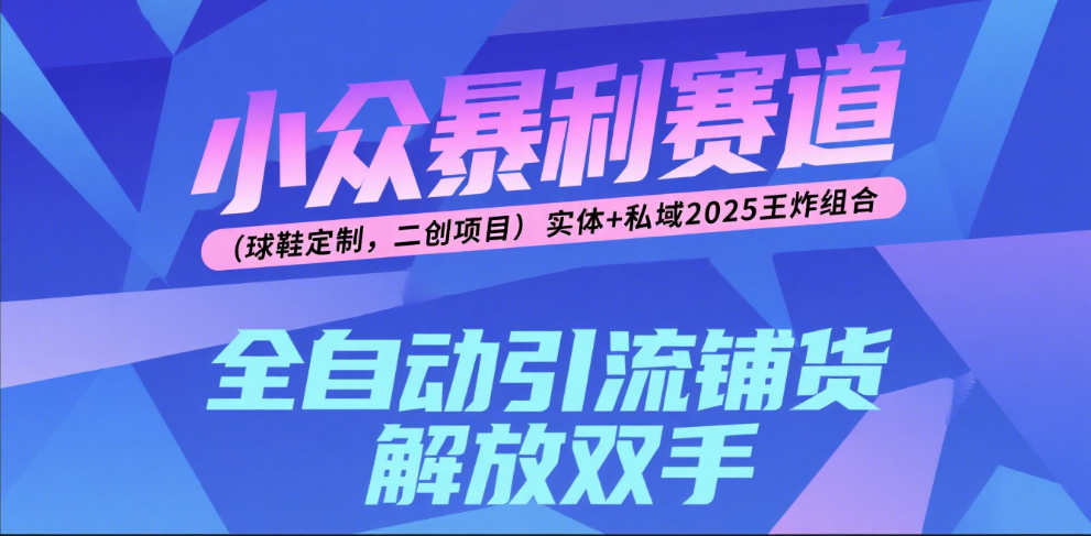 楠—小众暴利赛道（球鞋定制，二创项目）实体+私域2025王炸组合_网创掘金