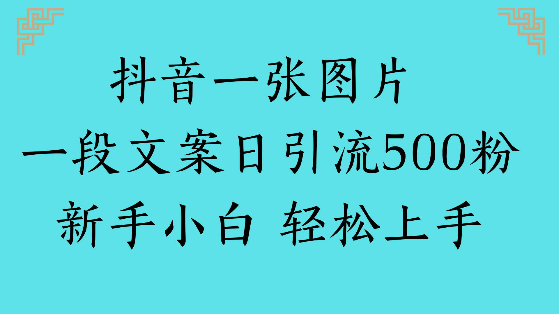 抖音一张图片 一段文案日引流500粉新手小白 轻松上手_网创掘金