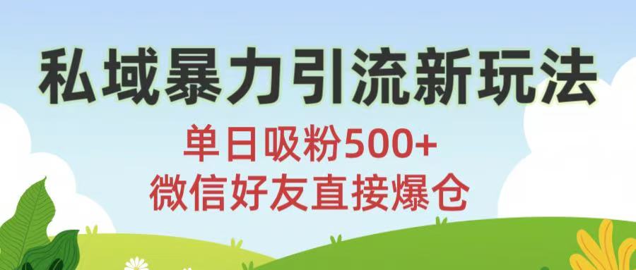 私域暴力引流新玩法!单日吸粉500+，微信好友直接爆仓_网创掘金
