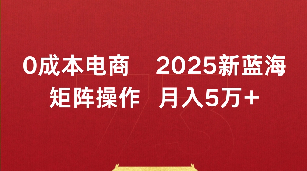 0成本电商2025新蓝海矩阵操作 月入5万+_网创掘金