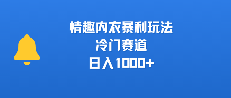 情趣内衣暴利玩法，冷门赛道，日入1000+_网创掘金