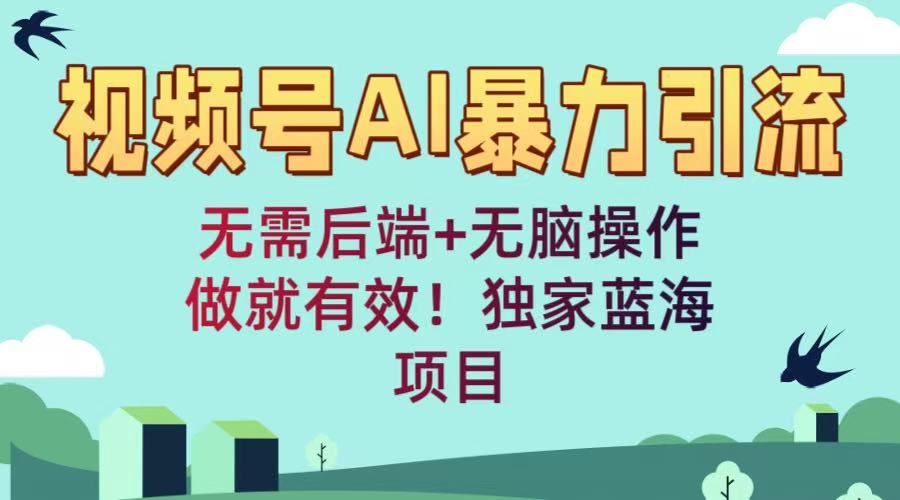 视频号AI暴力引流：无需后端+无脑操作，做就有效！独家蓝海项目_网创掘金