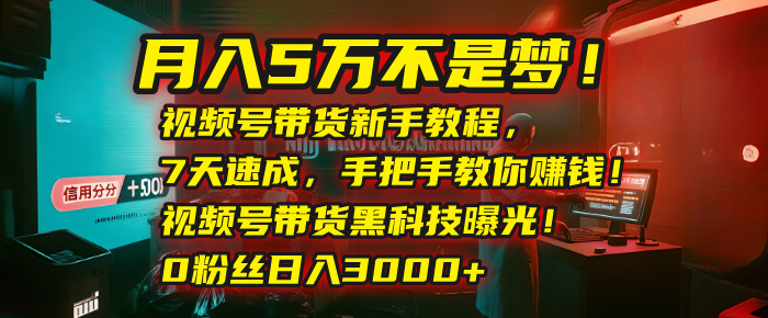 月入5万不是梦！视频号带货新手教程，7天速成，手把手教你赚钱！视频号带货黑科技曝光！0粉丝日入3000+_网创掘金