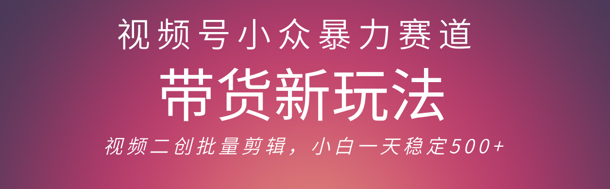 视频号小众暴力赛道，最新带货玩法 小白也能轻松日入500+ 保姆及教程_网创掘金