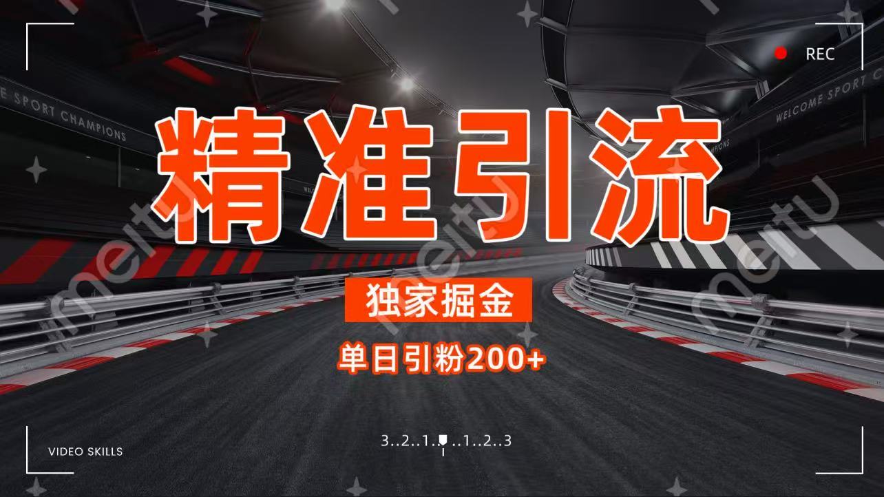 独家野路子精准引流 每日200+_网创掘金
