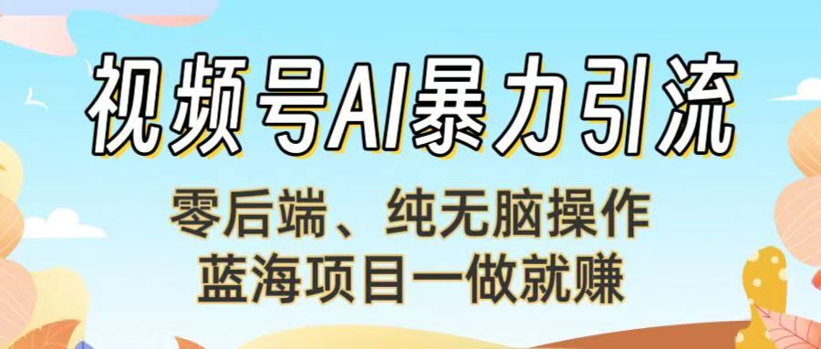 视频号AI暴力引流：零后端、纯无脑操作，蓝海项目一做就赚！【下面那个链接失效了】_网创掘金