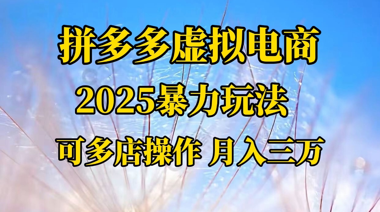 拼多多虚拟电商，不囤货不垫资的虚拟电商_网创掘金