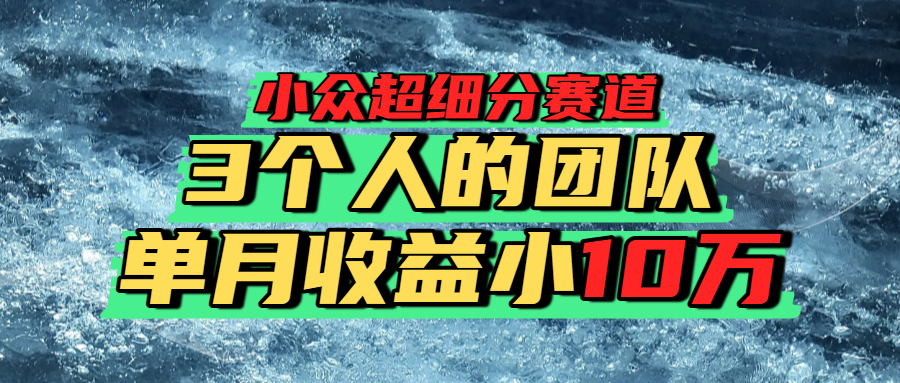 小众超细分赛道，一年百万利润的盘子！_网创掘金