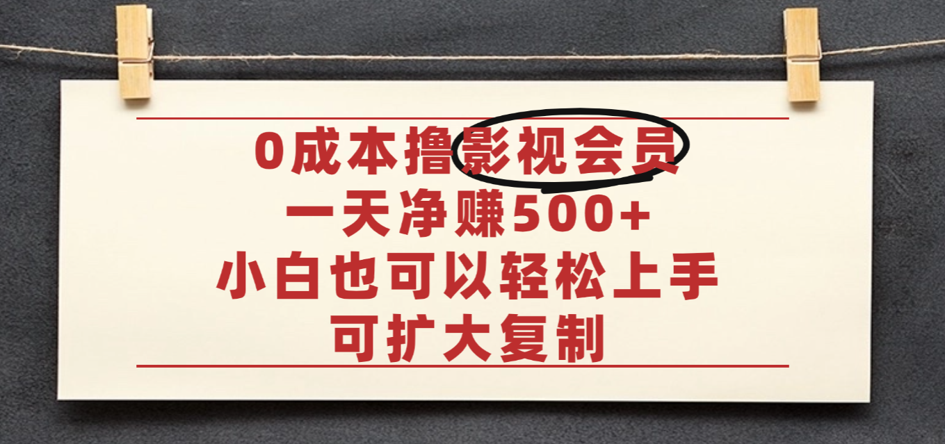 亲测，0成本可批量操作，靠卖影视会员实测月入30000+_网创掘金