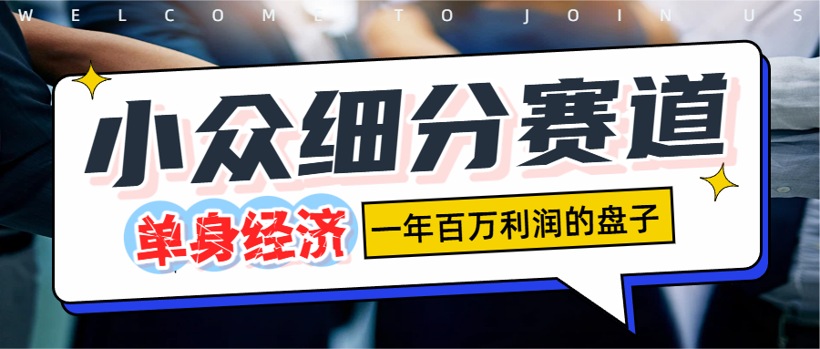 单身经济赛道,一天1000+_网创掘金